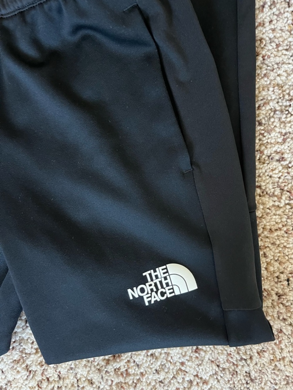 The North Face Boys Black Kids Jogger Sweatpants with Leg Logo - Picture 2 of 5